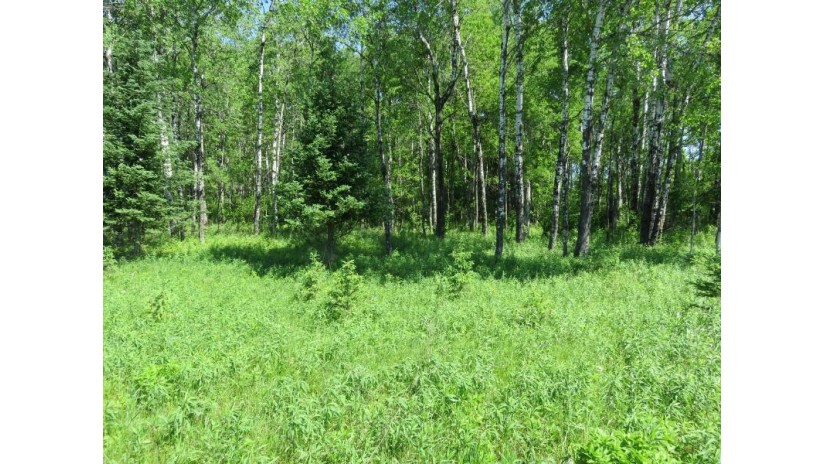 On Hwy 55 Lot 7 Argonne, WI 54511 by Century 21 Burkett - Three Lks $34,900