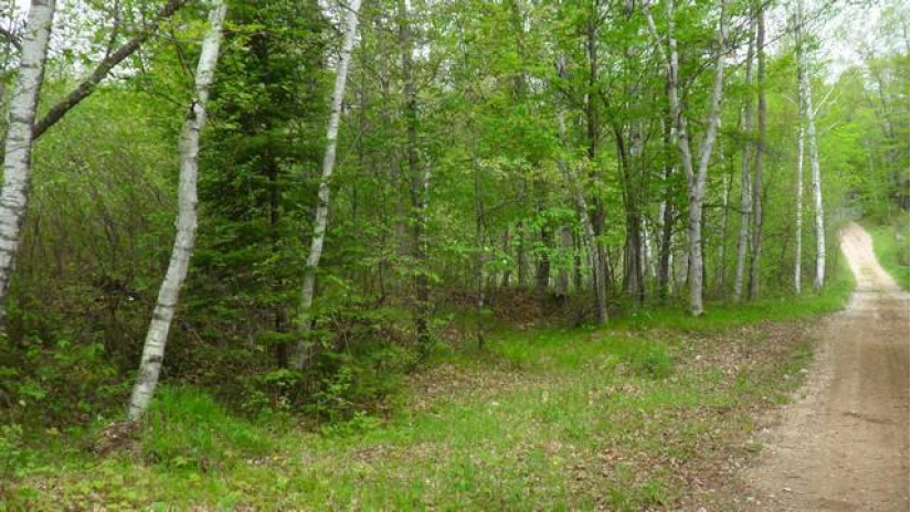 N15435 Bartlett Rd Amberg, WI 54102 by North Country Real Est $115,000