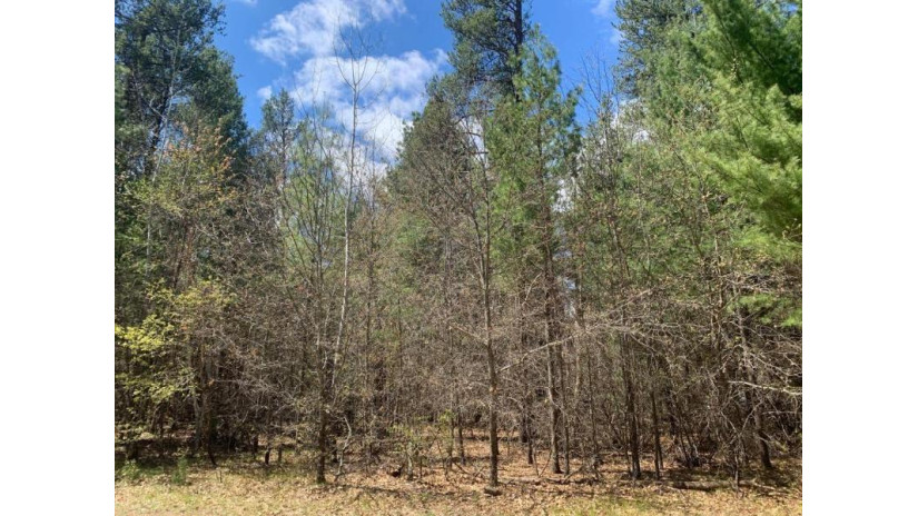 Lot 12 Pine Street Grantsburg, WI 54840 by Timber Ghost Realty Llc $15,000