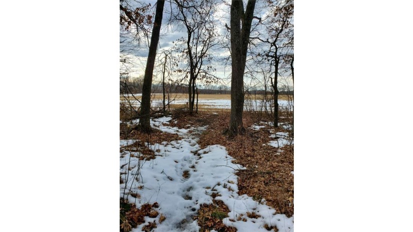 Lot 4 180th Avenue Mondovi, WI 54755 by Edina Realty, Inc. - Chippewa Valley $65,000