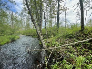 0 Horse Creek Trail, Ojibwa, WI 54862