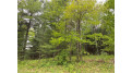 Lot County Hwy F Lake Nebagamon, WI 54849 by Edina Realty, Inc. - Hayward $25,000