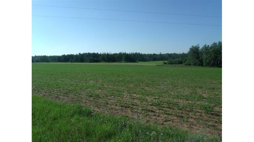 15.9 AC Duck Creek Rd Crystal Lake, WI 54960 by Whitemarsh Properties Llc $79,900