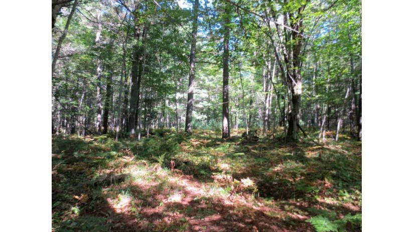 3668 Sterling Dr Lot 10 Rhinelander, WI 54501 by Redman Realty Group, Llc $21,000