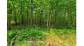 Lot 27 Missionary Point Circle Cable, WI 54821 by Mckinney Realty Llc $45,000