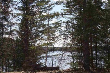 ON Dallmann Dr, Minocqua, WI 54564