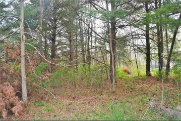 .64 AC County Line Rd, Lone Rock, WI 53556-0000