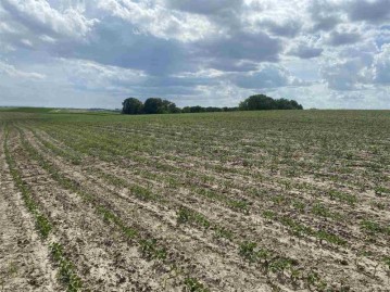 91.86 ACRES Laufenberg Ln, Beetown, WI 53806