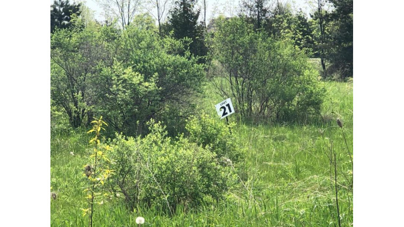 LOT #21 Brooks Ln Egg Harbor, WI 54209 by True North Real Estate Llc $87,500