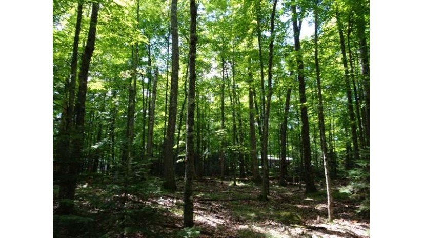 Lot 50 Birch Tree Ln St. Germain, WI 54558 by Shorewest Realtors $34,000