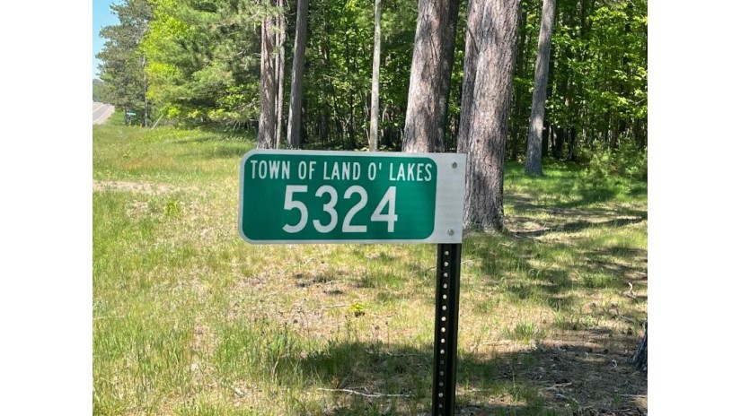 5324 Cth B Lot 3 Land O' Lakes, WI 54540 by Eliason Realty - Land O Lakes $35,000
