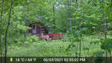On French Shanty Rd 84 Acres, Rockland, MI 49960