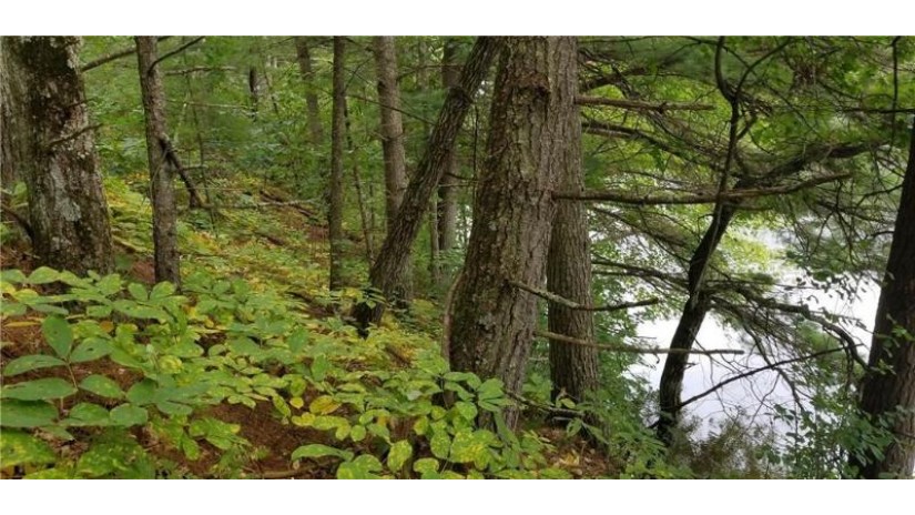 0 Waters Edge Lot 10 Black River Falls, WI 54615 by Cb River Valley Realty/Brf $65,000