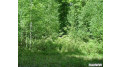 Lot 1 Hawk Haven Drive Hayward, WI 54843 by Edina Realty, Inc. - Hayward $25,000