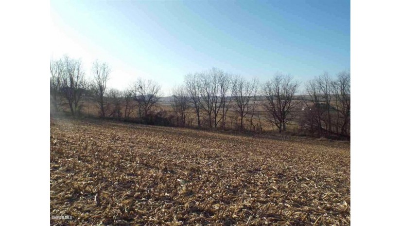 TBD E Stagecoach Road Scales Mound, IL 61075 by Jim Sullivan Realty $308,620