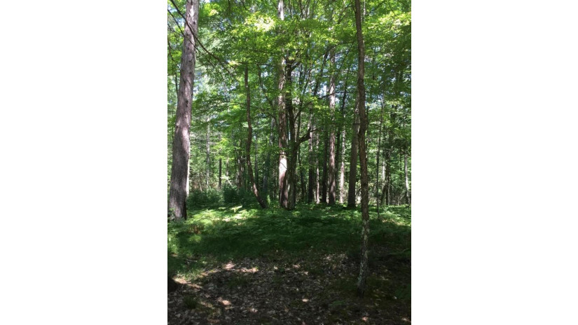 LT 3 White Pine Ln Beecher, WI 54156 by Pine Cone Realty LLC $20,000