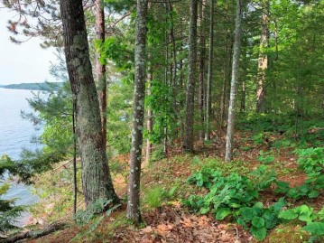 Lot/Outlet 3 Chequamegon Road, Bayfield, WI 54814