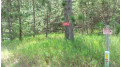 LOT 4 Birch Haven Road Webster, WI 54893 by Woods & Water Real Estate Llc, Ellsworth $19,900