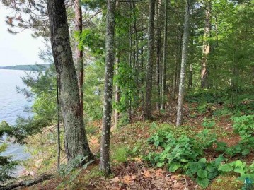 Lot/Outlot 3 Chequamegon Rd, Bayfield, WI 54814