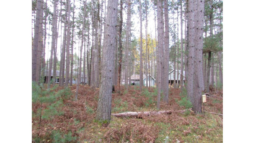 On Holiday Drive E Lot 41 St. Germain, WI 54558 by Coldwell Banker Mulleady - Mnq $10,000