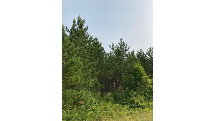 On Little Rice Dam Rd Tomahawk, WI 54487 by First Weber - Rhinelander $76,000