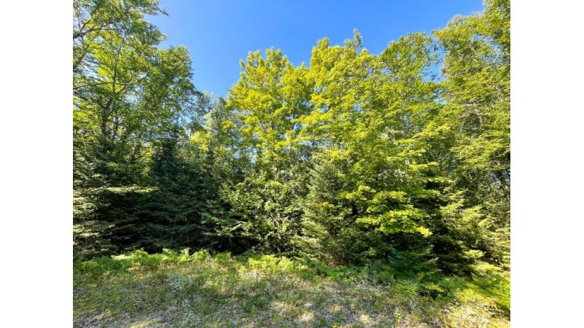 Lot 7 Quiet Waters Ln Presque Isle, WI 54557 by Shorewest Realtors $12,500