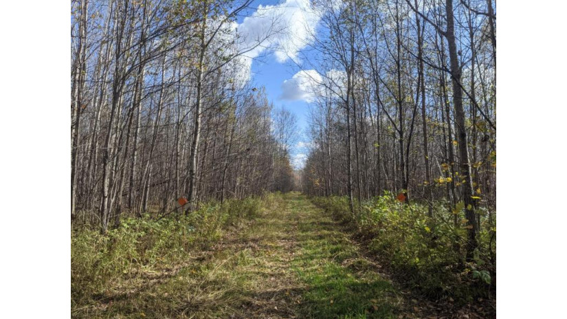 On Spur Rd Hawkins, WI 54530 by Re/Max New Horizons Realty Llc $36,000