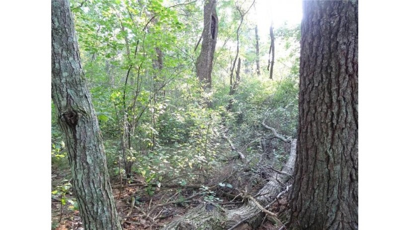 W10261 Deer Print Trail Black River Falls, WI 54615 by Clearview Realty Llc $51,900