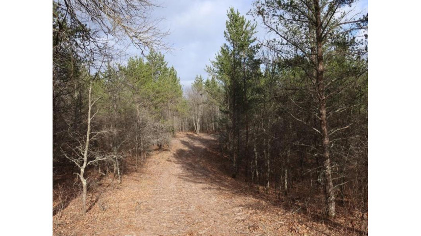 Lot 35 Crystal Lake Drive Webb Lake, WI 54830 by C21 Sand County Services Inc $24,900