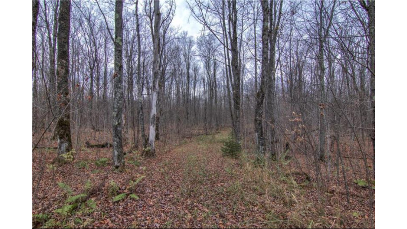 Lot A Lake Winter Rd Winter, WI 54896 by Re/Max Affiliates $13,500