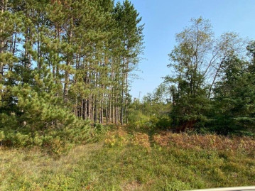 Jack Pine Lane, Elcho, WI 54428