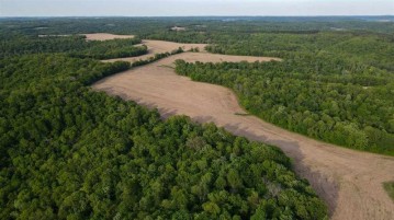 126+/- ACRES Hwy 88, Lincoln, WI 54610