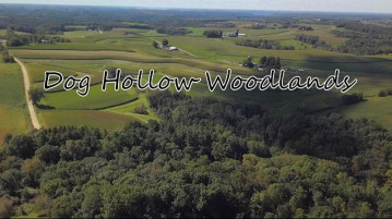 10714 Dog Hollow Rd, Freeman, WI 54628