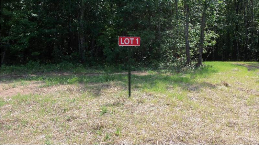 LOT 1 Birch Haven Rd Webster, WI 54893 by Woods & Water Real Estate Llc $29,900