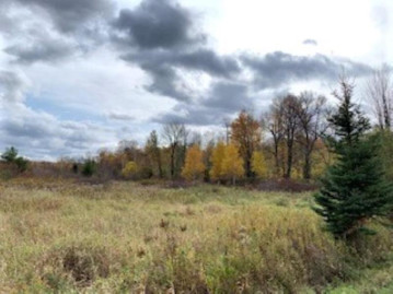 Lot 1 Hines Road, Ringle, WI 54471