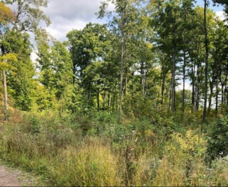 80 Acres Debaufer Lane, White Lake, WI 54491