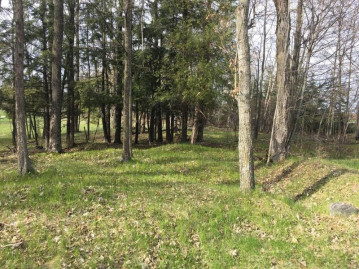 LOT 1 Deer Track Rd, Brussels, WI 54204