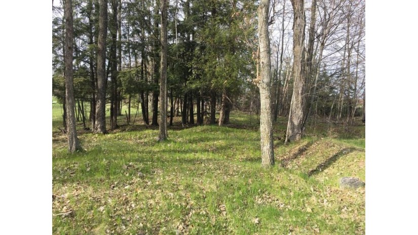 LOT 1 Deer Track Rd Brussels, WI 54204 by Era Starr Realty $24,900