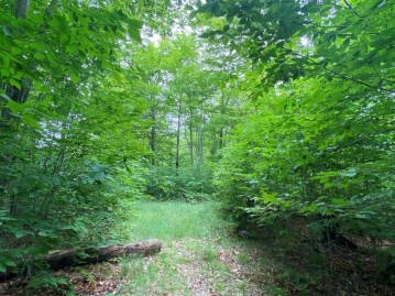 TBD Forestview Rd, Washington Island, WI 54246