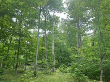 TBD Forestview Rd, Washington Island, WI 54246