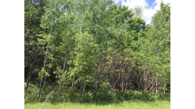On Cove Ridge Dr Lot 4 Norwood, WI 54409 by Wolf River Realty $17,900