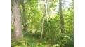 Lot 28 Big Thunder Ln Lac du Flambeau, WI 54538 by Redman Realty Group, Llc $14,900