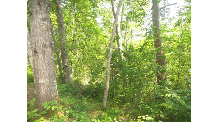 Lot 28 Big Thunder Ln Lac du Flambeau, WI 54538 by Redman Realty Group, Llc $14,900