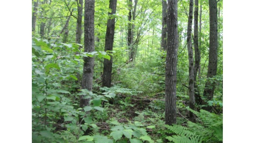 30acres State Highway 27 Radisson, WI 54867 by Exp Realty, Llc $49,900