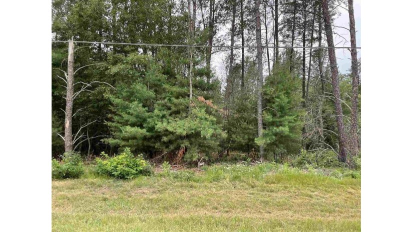 LOT 8 20th Street Wisconsin Rapids, WI 54494 by First Weber $9,900