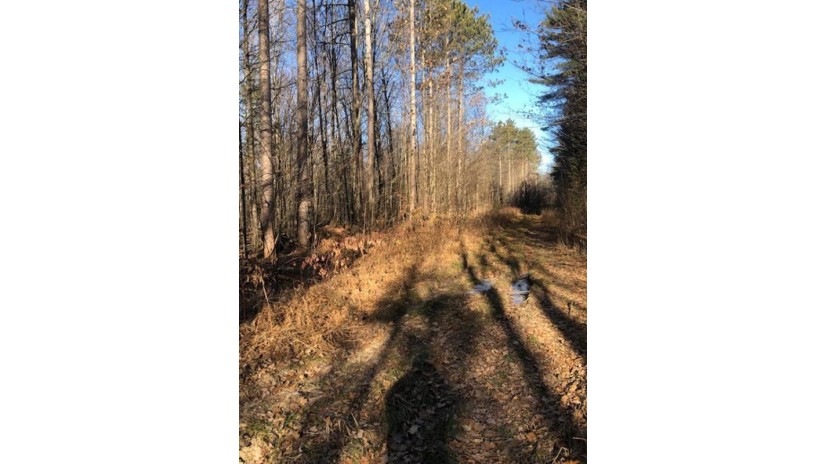 80 Acres Highland Avenue Merrill, WI 54452 by Re/Max Excel $184,000