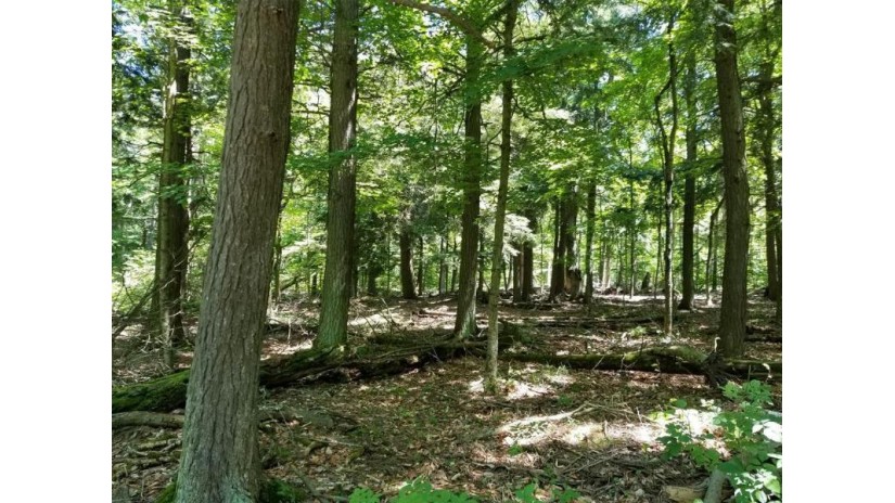 LOT 2 Northport Woods Ln Ellison Bay, WI 54210 by Professional Realty Of Door County $25,000