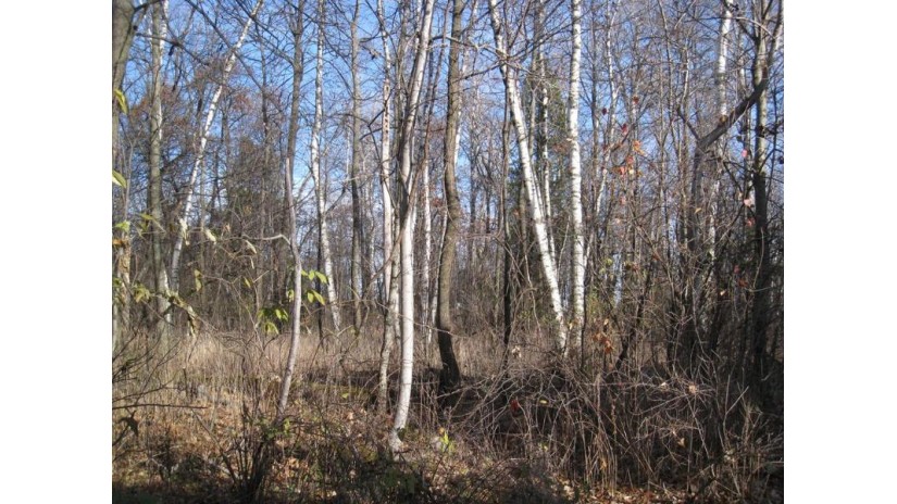 LOT 28 Snake Island Rd Sturgeon Bay, WI 54235 by Action Realty $40,000