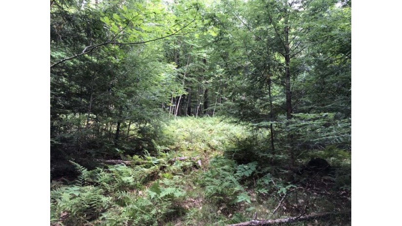 On Cth B Tomahawk, WI 54435 by Northwoods Community Realty, Llc $28,000