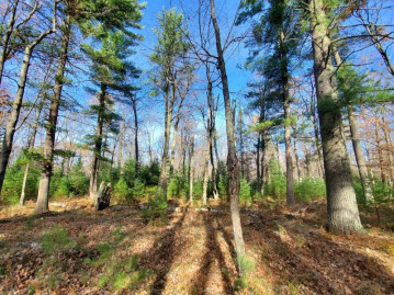 7.37 Ac Golf Course Rd, Plum Lake, WI 54560